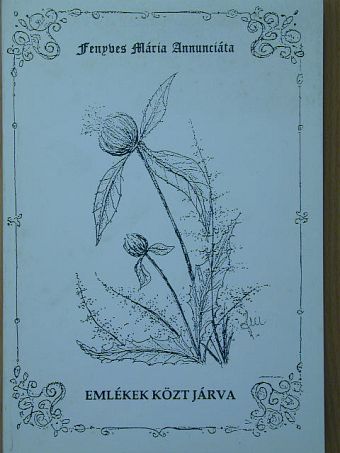 Fenyves Mária Annunciáta - Emlékek közt járva [antikvár]