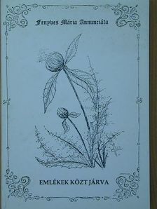 Fenyves Mária Annunciáta - Emlékek közt járva [antikvár]