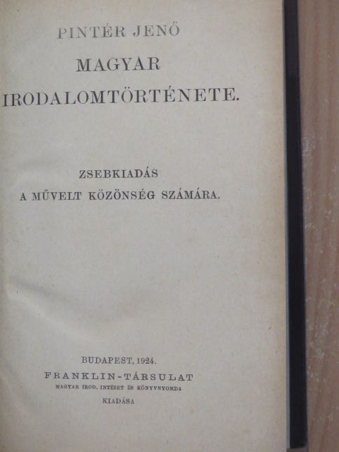 Pintér Jenő - Pintér Jenő Magyar irodalomtörténete [antikvár]