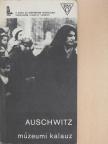 Kazimierz Smolen - Auschwitz 1940-1945 [antikvár]