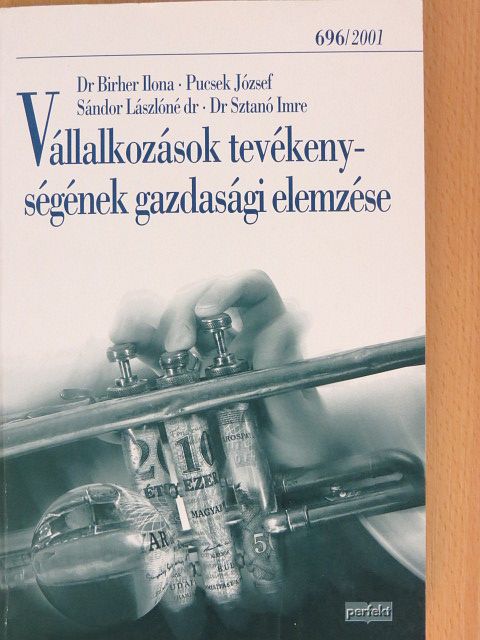 Dr. Birher Ilona - Vállalkozások tevékenységének gazdasági elemzése [antikvár]