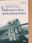 Dr. Birher Ilona - Vállalkozások tevékenységének gazdasági elemzése [antikvár]