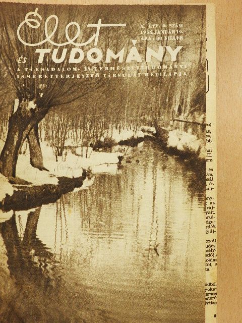 Kesztyűs Lóránd - Élet és Tudomány 1955. (nem teljes évfolyam) [antikvár]