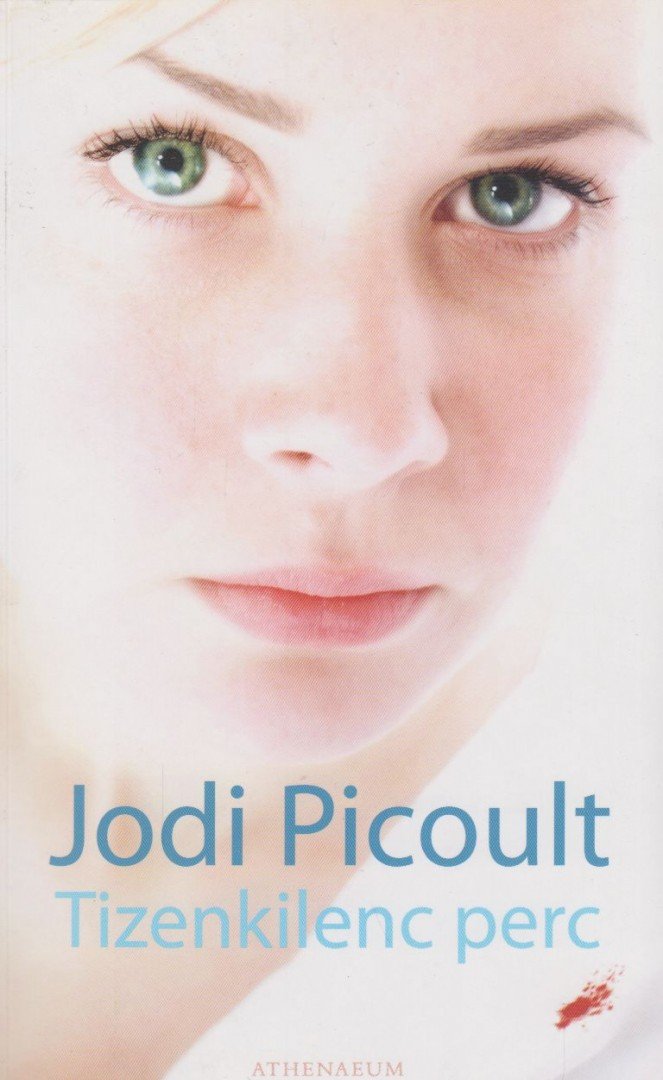 Jodi Picoult - Tizenkilenc perc [antikvár]