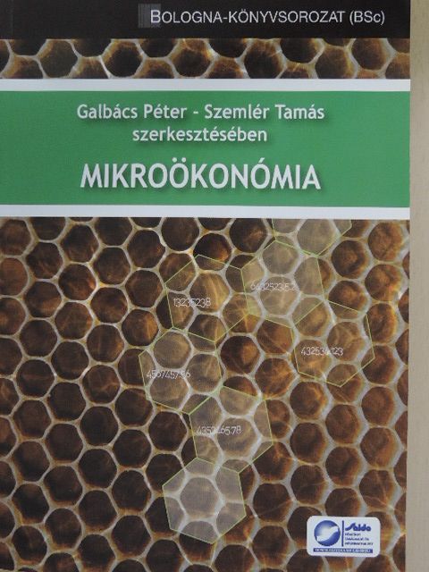 Bódi Erzsébet - Mikroökonómia [antikvár]