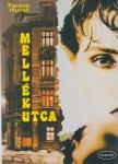 Hurst, Fannie - Mellékutca [antikvár]