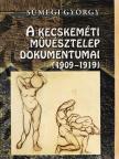 Feleky Géza - A kecskeméti művésztelep dokumentumai (1909-1919) [antikvár]