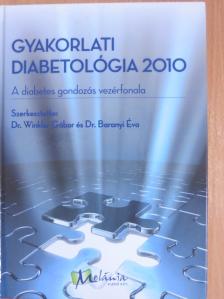 Bánvölgyi Györgyné - Gyakorlati diabetológia 2010 [antikvár]