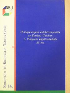 Dr. Fejes Zsuzsanna - (Közép-európai) érdekérvényesítés az Európai Unióban - A Visegrádi Együttműködés 25 éve [antikvár]