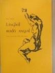 Vitéz Ferenc - Lángból riadó angyal [antikvár]