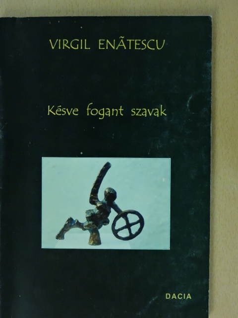 Virgil Enatescu - Késve fogant szavak [antikvár]
