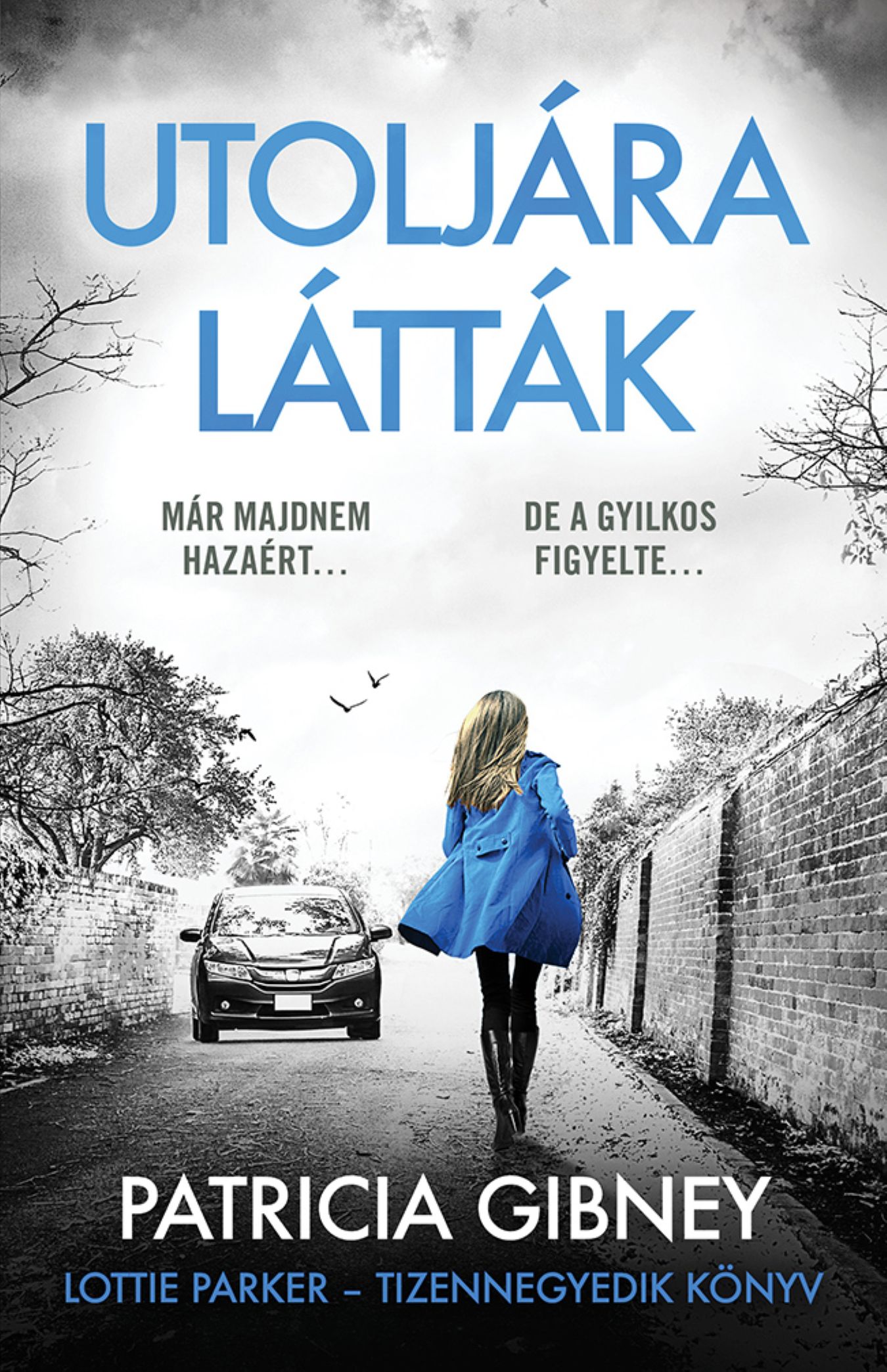 Patricia Gibney - Utoljára látták