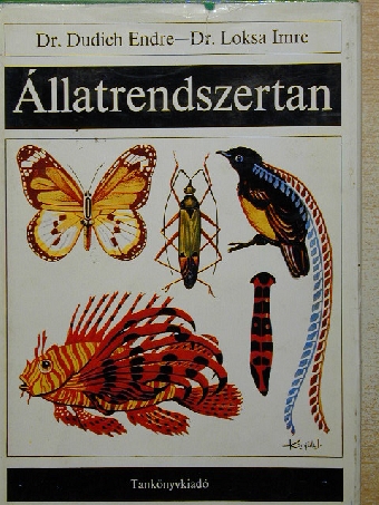 Dr. Dudich Endre - Állatrendszertan [antikvár]