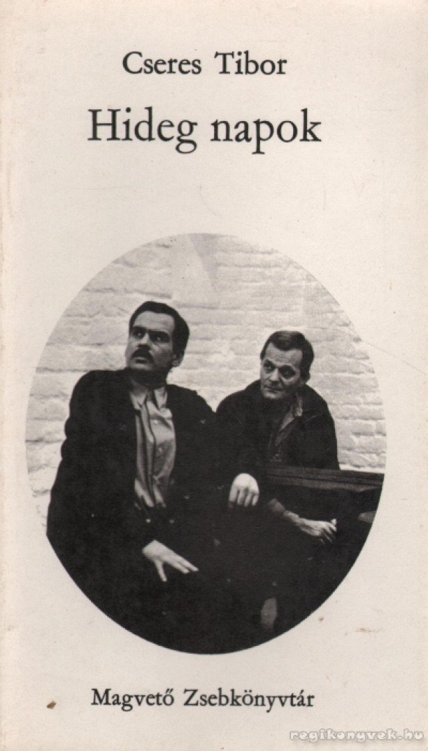 Cseres Tibor - Hideg napok [antikvár]