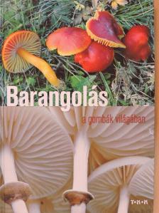 Farkas Sándor - Barangolás a gombák világában [antikvár]