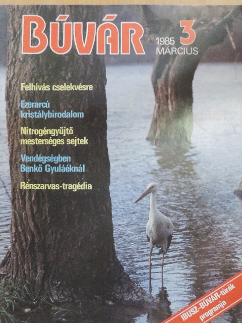 Cseri Rezső - Búvár 1985. március [antikvár]