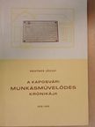 Mautner József - A kaposvári munkásművelődés krónikája 1870-1945 [antikvár]