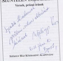 N. Szilágyi Nóra - Szüntelen lobogásban (dedikált) [antikvár]