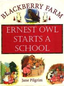 Jane Pilgrim - Ernest Owl Starts a School [antikvár]