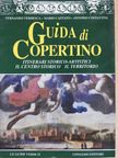 Antonio Costantini - Guida di Copertino [antikvár]