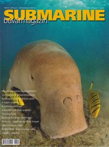 Herold István - Submarine VIII./3. 2007. július-augusztus [antikvár]