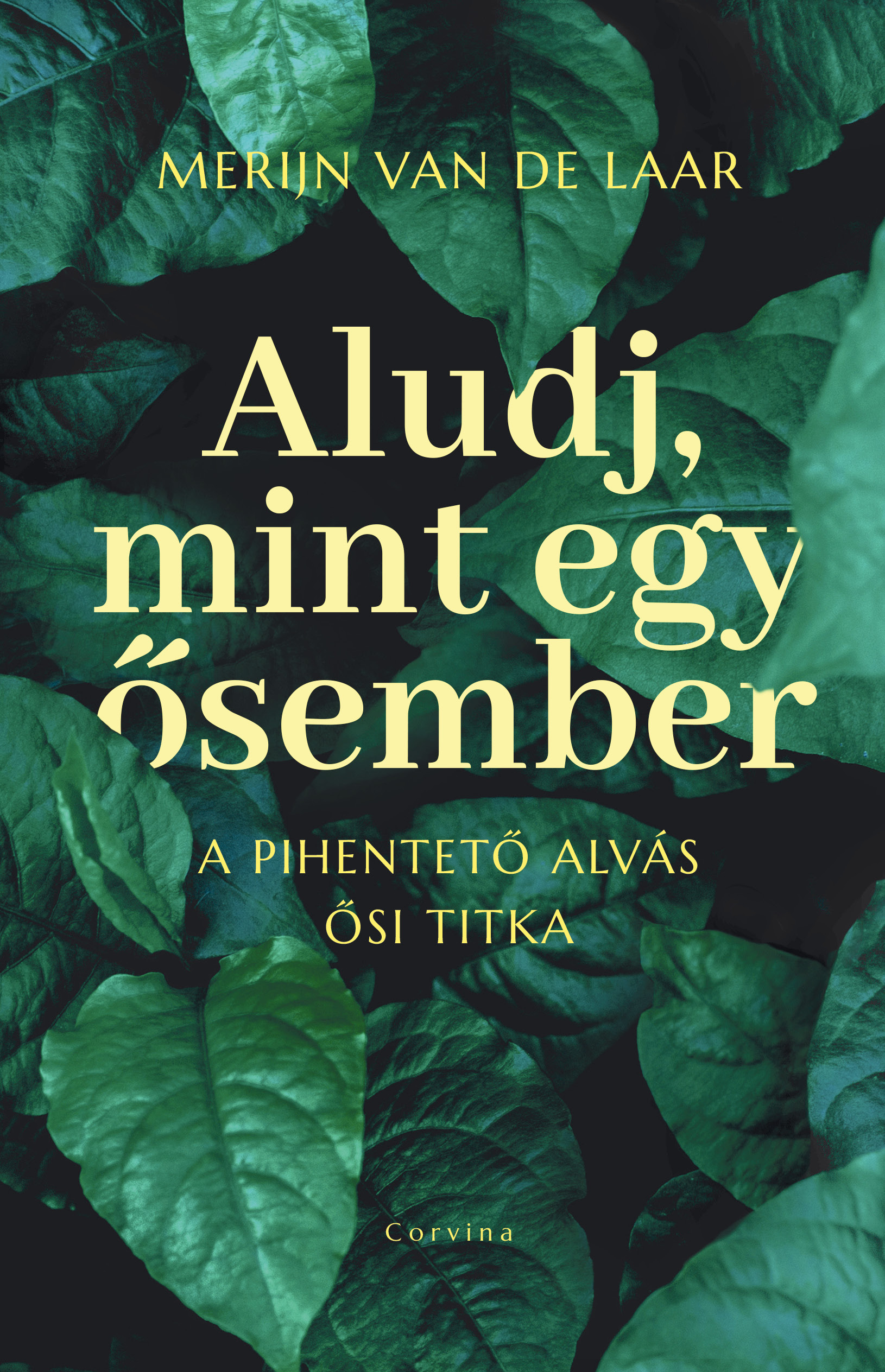 Merijn van de Laar - Aludj, mint egy ősember - A pihentető alvás ősi titka [eKönyv: epub, mobi]