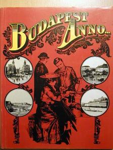 Seenger Ervin - Budapest Anno... [antikvár]