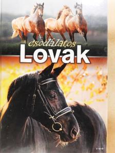 Konyhás István - A csodálatos lovak [antikvár]