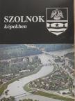 Kaposvári Gyula - Szolnok képekben [antikvár]
