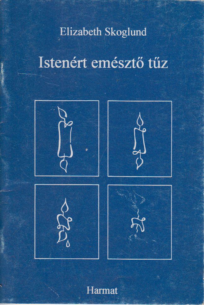Elizabeth Skoglund - Istenért emésztő tűz [antikvár]
