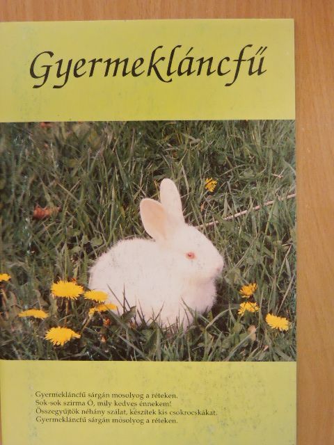 Erdélyi László - Gyermekláncfű 5. [antikvár]