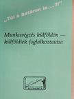 Dr. Miholics Tivadar - Munkavégzés külföldön - külföldiek foglalkoztatása [antikvár]