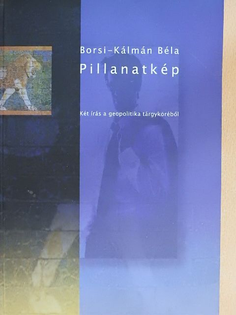 Borsi-Kálmán Béla - Pillanatkép [antikvár]