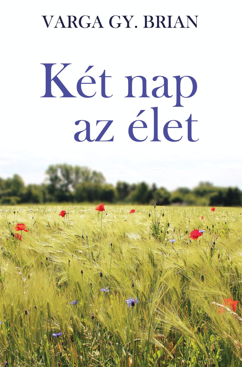 Gy. Brian Varga - Két nap az élet [eKönyv: epub, mobi]