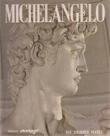Loretta Santini - Michelangelo [antikvár]