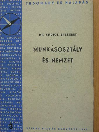 Dr. Andics Erzsébet - Munkásosztály és nemzet [antikvár]