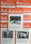 Dagobert Kohlmeyer - Schach-Aktiv 2005. (nem teljes évfolyam) [antikvár]