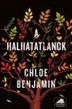 Chloe Benjamin - A halhatatlanok [antikvár]
