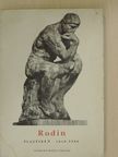 Cécile Goldscheider - Rodin [antikvár]