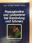 Dr. Hans Bräuer - Prostaglandine und Leukotriene bei Entzündung und Schmerz [antikvár]