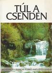 Benedaetta Bianchi Porro - Túl a csenden [antikvár]