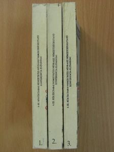 Andrásfalvy Bertalan - A III. Békéscsabai Nemzetközi Néprajzi Nemzetiségkutató Konferencia előadásai 1-3. [antikvár]