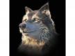 MCS54 - WOLF SELFIE BIG
