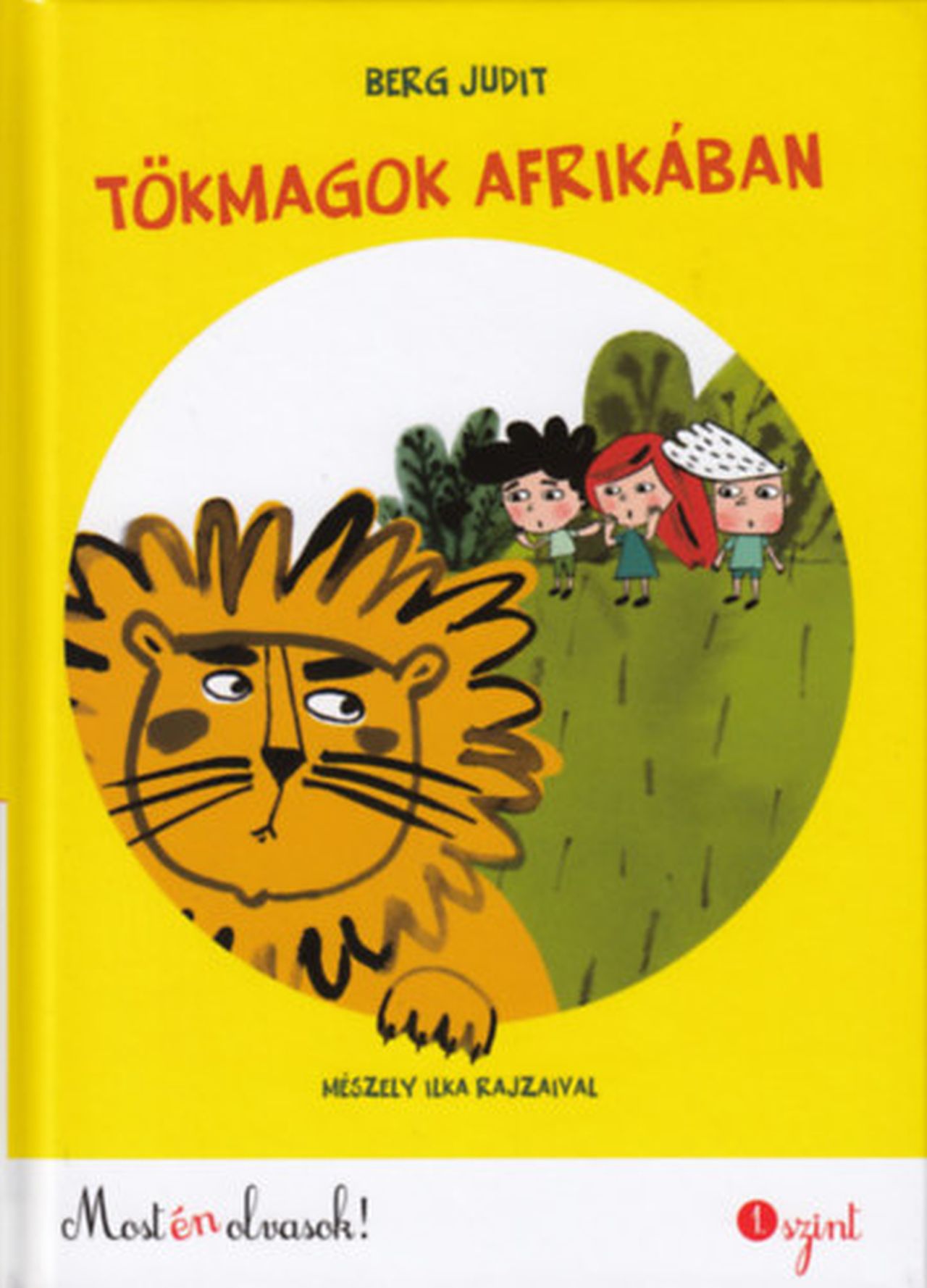 Berg Judit - Tökmagok Afrikában