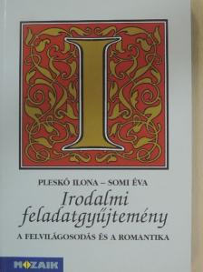 Pleskó Ilona - Irodalmi feladatgyűjtemény II. [antikvár]
