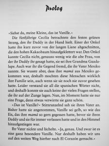 Manuela Inusa - Wintervanille [antikvár]