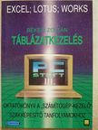 Békefi Zoltán - Táblázatkezelés. Excel, Lotus, Works /Win '95/ [antikvár]