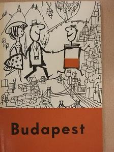 Zoltán Halász - Petit guide pratique de Budapest [antikvár]