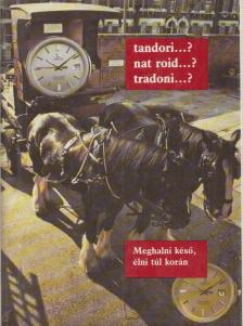TANDORI DEZSŐ - Meghalni késő, élni túl korán [antikvár]