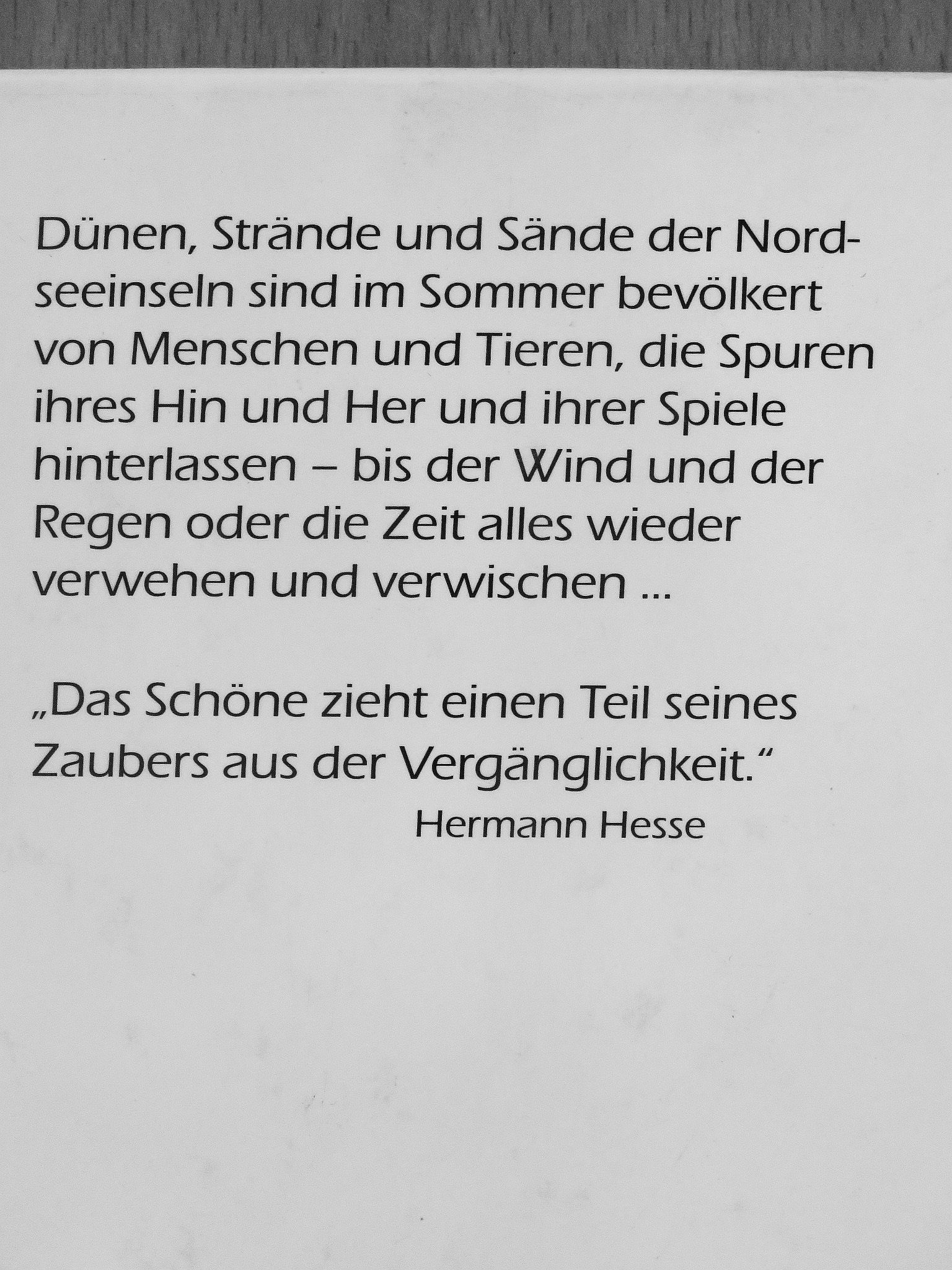 Georg Quedens - Spuren im Sand... Spuren des Lebens [antikvár]